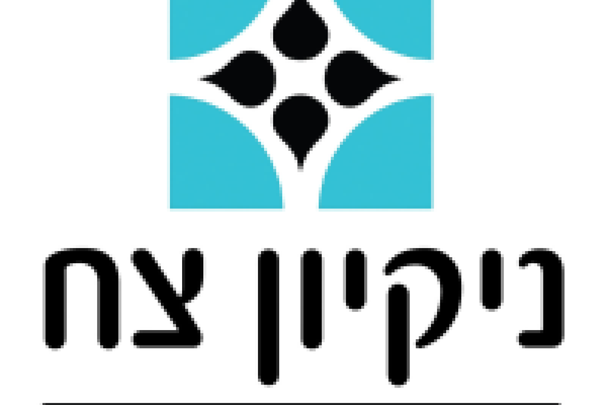 ועד-בית ישראל: ניהול ואחזקת מבנים