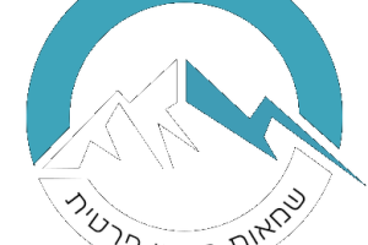 ועד-בית ישראל: שמאות רכוש
