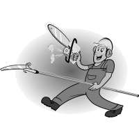 אמיר החוטבים