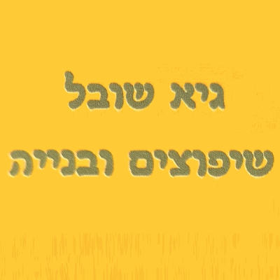 ועד-בית ישראל: שיפוץ ובנייה