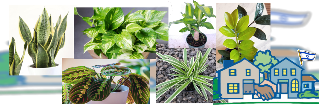 ועד-בית ישראל: התאמת המיקלט לשהייה ארוכה