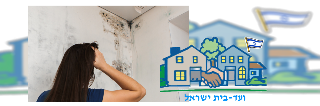ועד-בית ישראל: רטיבות בדירה